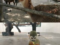 -西安秦岭野生动物园