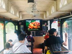 -合肥滨湖国家森林公园