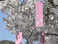 -杭州少年儿童公园