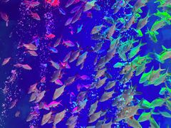 -成都浩海立方海洋公园