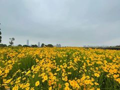 -苏州湾体育公园