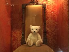 -济州岛泰迪熊博物馆