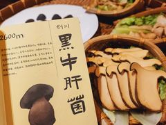 -滇野云南野生菌餐厅(陕西南路店)