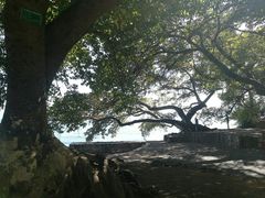 -抚仙湖禄充风景区