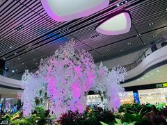 -樟宜机场T4航站楼