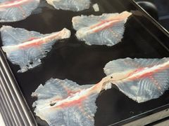 -京门活鱼馆·鱼火锅(百子湾（原红庙）店)