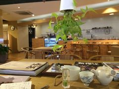 -柴务处·柴犬主题狗咖