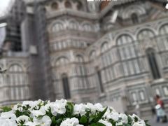 -圣母百花大教堂穹顶