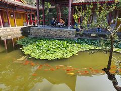 -华清宫景区
