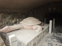 -上海佘山国家森林公园天马山园