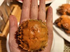 -都会尚膳·海鲜自助餐厅(重庆万豪酒店)