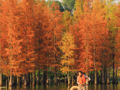 -白鹭湾湿地公园