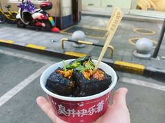 黑色经典臭豆腐-黑色经典臭豆腐·湖南特产(步行街店)