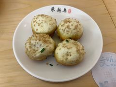 -朱新年·苏式汤团·面点(北寺塔店)