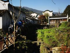 -石台牯牛降景区