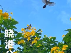 -晓港公园
