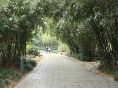 -新虹桥中心花园
