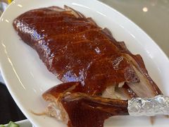 -普天和酒楼·天津菜·烤鸭(天津之眼店)