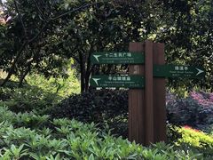 -杭州半山国家森林公园