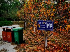 -元大都城垣遗址公园