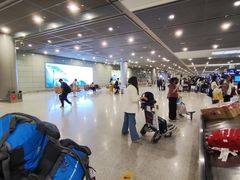 -合肥新桥国际机场-航站楼