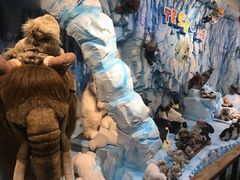 -济州岛泰迪熊博物馆