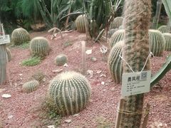 -呀路古热带植物园