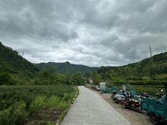 -石台牯牛降景区