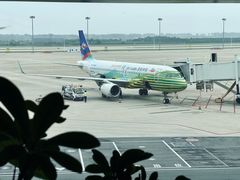 -郑州新郑国际机场-T2航站楼