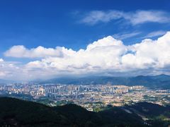 -长虫山生态公园风景林