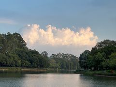 -南国桃园旅游度假区