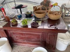 -马陆小张葡萄园农家乐