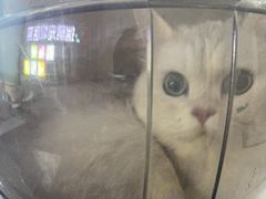 -瑞鹏宠物医院·内科·中兽医·骨科(苗圃店)