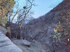 -泰山风景名胜区