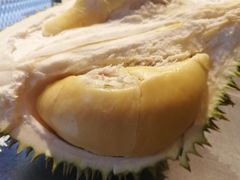 -都念榴莲·城市榴莲