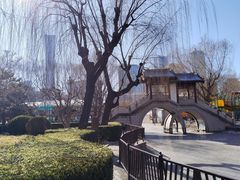 -团结湖公园
