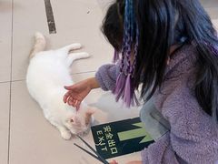 -平行世界·猫咖(首经贸店)