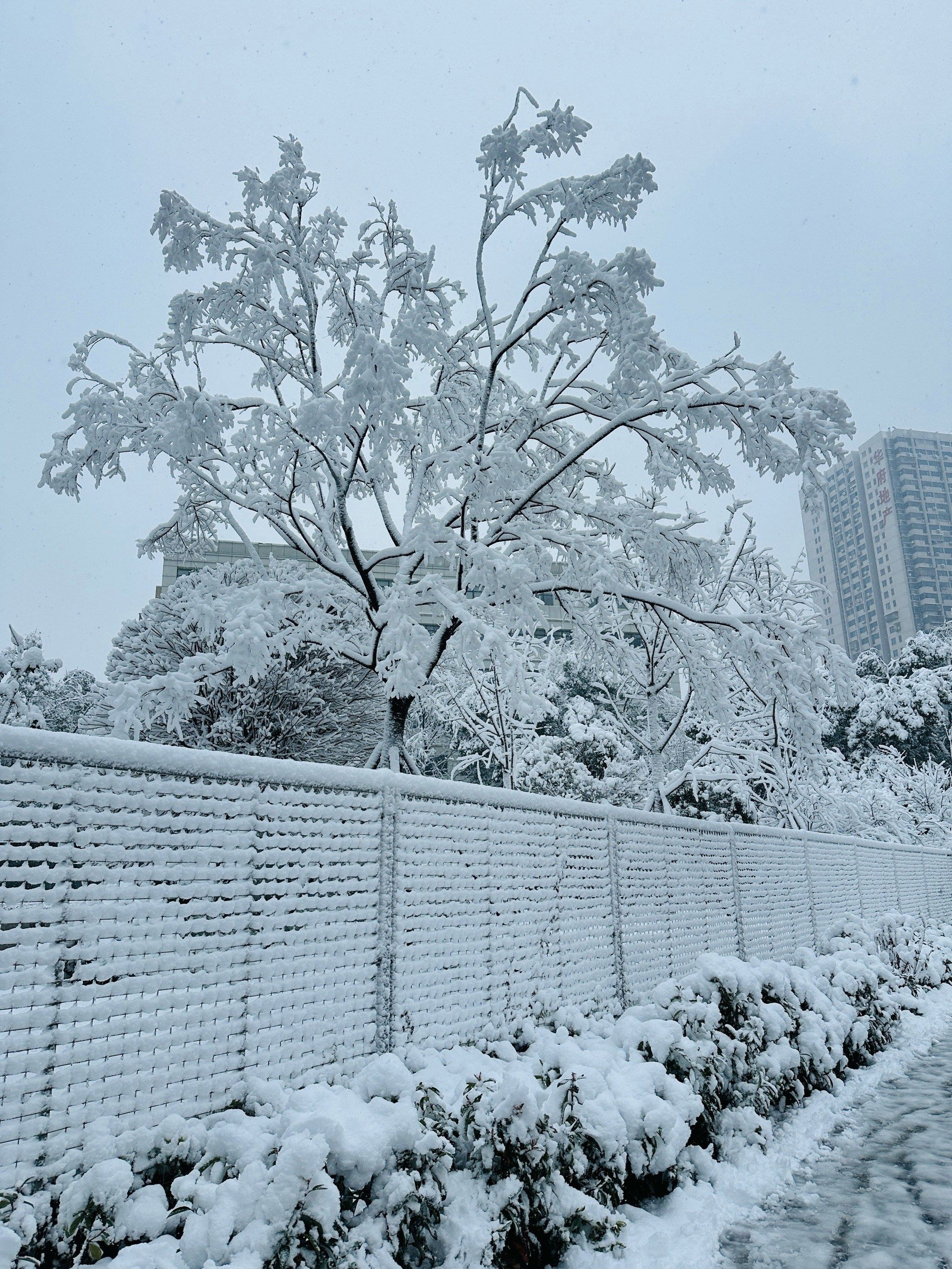 长沙冬天的第一场雪