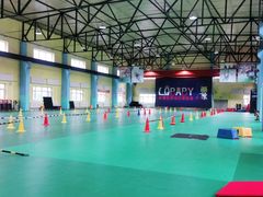 -长春乐奇平衡车儿童体能运动中心