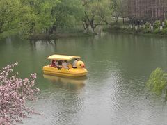 -青枫公园