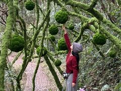 -龙湾潭国家森林公园