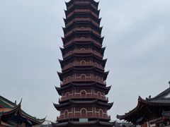-太湖龙之梦