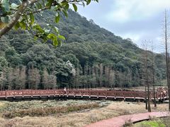 -广州市石门国家森林公园