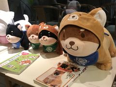 -柴务处·柴犬主题狗咖