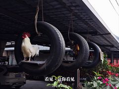 -西双版纳傣族园