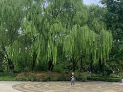 -昆山城市生态森林公园