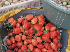 -南坛综合农贸市场