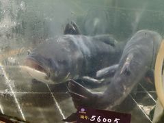 -东方御花园酒店