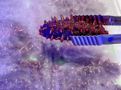 -阪尚皇·原切牛排·烤肉火锅自助(北京路店)