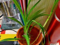 -哈根达斯(武汉天地店)